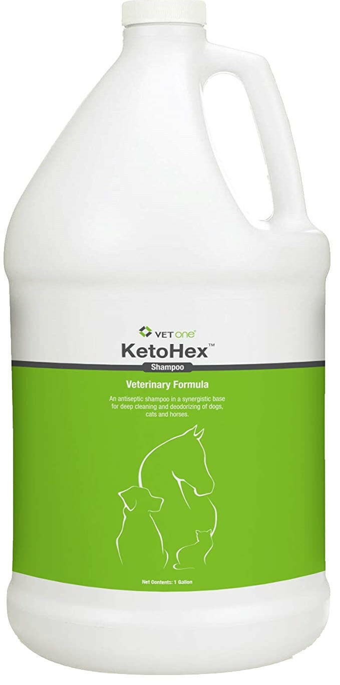 VetOne KetoHex Antiseptic Shampoo for Dogs, Cats and Horses
