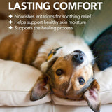 Vet's Best Hot Spot Shampoo (16 oz)