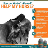 Vitalize Alimend Stomach Comfort Gastric Support for Horses