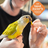 ZuPreem Avian Breeding Formula FruitBlend Bird Food Parrots & Conures, 2-lb