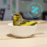 ZuPreem Avian Breeding Formula FruitBlend Bird Food Parrots & Conures, 2-lb